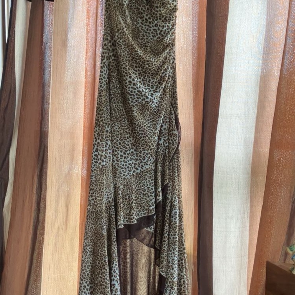 Leopard Print Maxi Dress